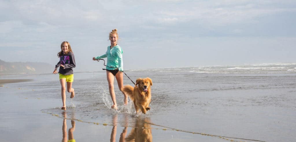 Strandhaus in Holland mit Hund